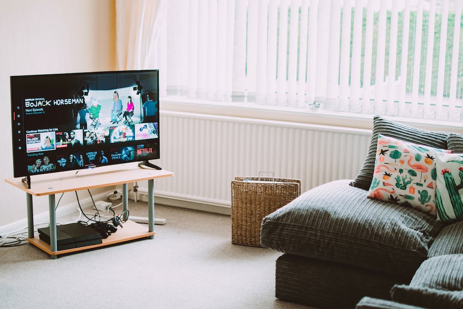 Fernsehen ohne Internet mit Laptop möglich