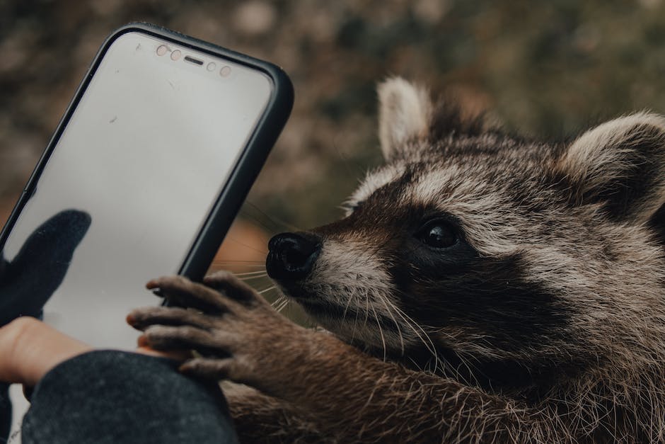 Wie lade ich Fotos vom Handy auf meinen Laptop herunter?